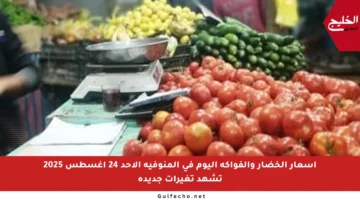 أسعار الخضار والفواكه اليوم في المنوفية الأحد 24 أغسطس 2025 تشهد تغيرات جديدة